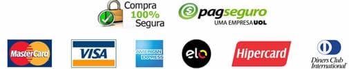 Métodos de pagamento do PagSeguro aceitos